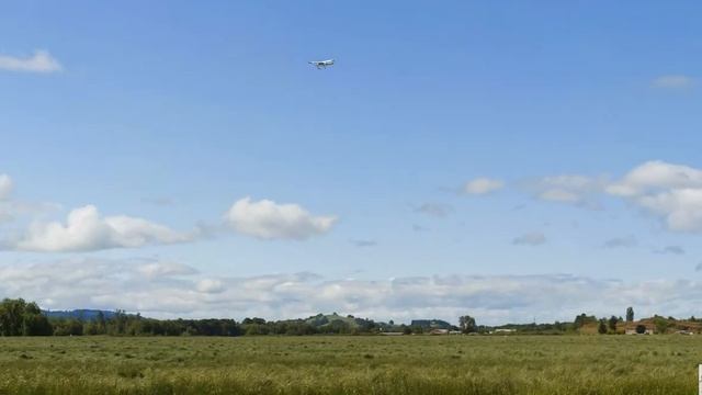 RealFlight 8 Launcher смотреть онлайн