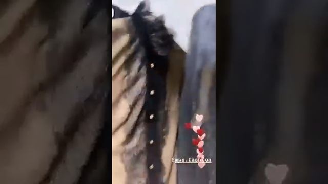 Maria Pogrebnyak Shatalova stories for 1 13 2020 смотреть онлайн