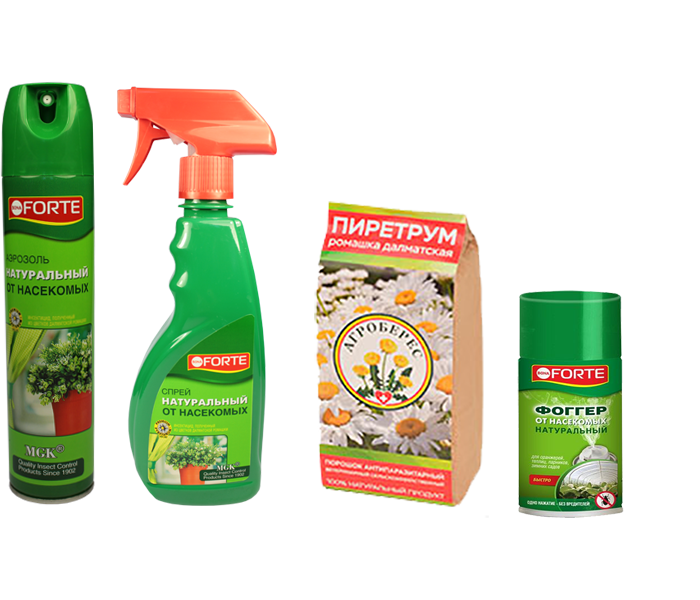 Препараты на основе экстракта Пиретрума )далматской ромашки) : пиретрум спрей и пиретрум аэрозоль смотреть онлайн