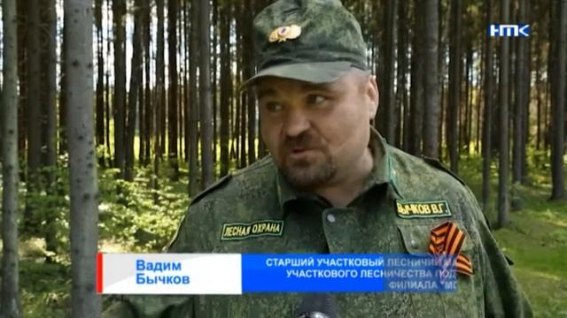 «Лес победы» в Апрелевке смотреть онлайн