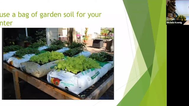 Container Gardens for Butterflies and Other Pollinators смотреть онлайн