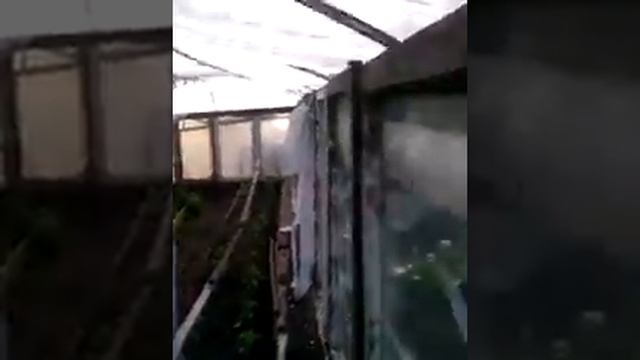 парник на даче из рам смотреть онлайн