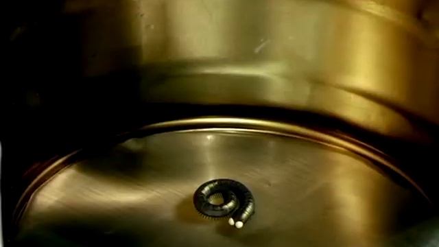 Букашки!!! - Сороконожки ? смотреть онлайн