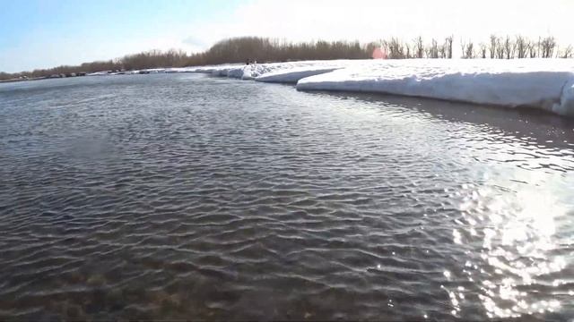 Весенний голец на Камчатке. смотреть онлайн