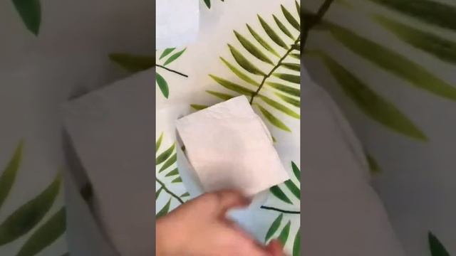 Как экономить даже туалетную бумагу смотреть онлайн