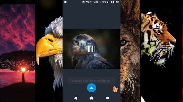 HD Wallpaper Application