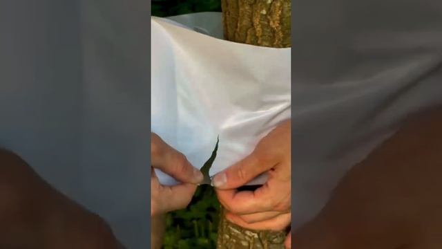 Как защитить дерево от вредителей?? #сад #огород #дача #коттедж #участок #деревья #яблони #лайфхак смотреть онлайн