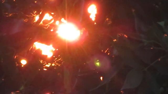 Солнце на закате 30.06.21 смотреть онлайн