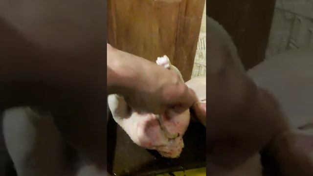 Забой Ред Бро и бройлера, сравнение. смотреть онлайн