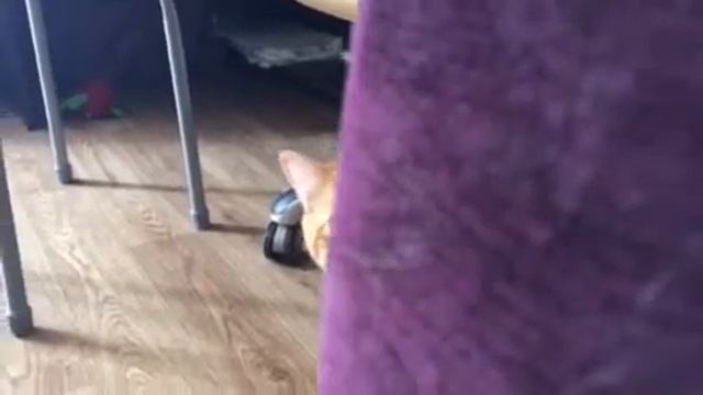 Камеру убрал😾 смотреть онлайн