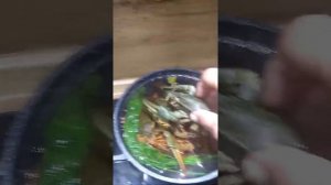 Рецепт раков на зиму