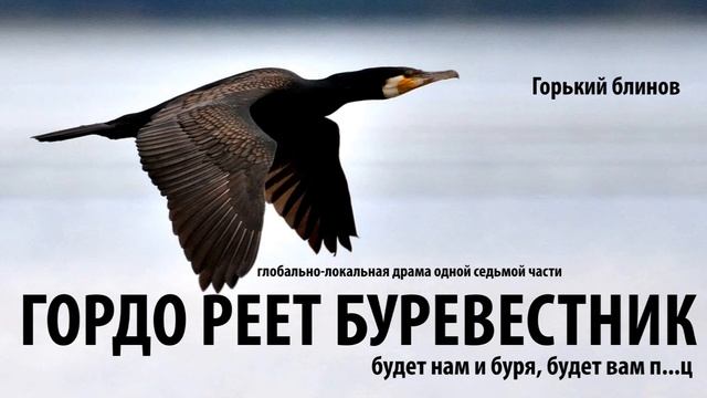 Гордо реет баклан над крышей и думает, что он буревестник. смотреть онлайн