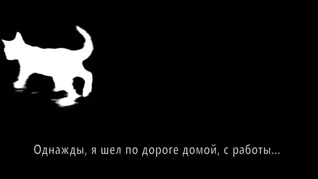 Что будет если черный кот дорогу перейдет??? смотреть онлайн