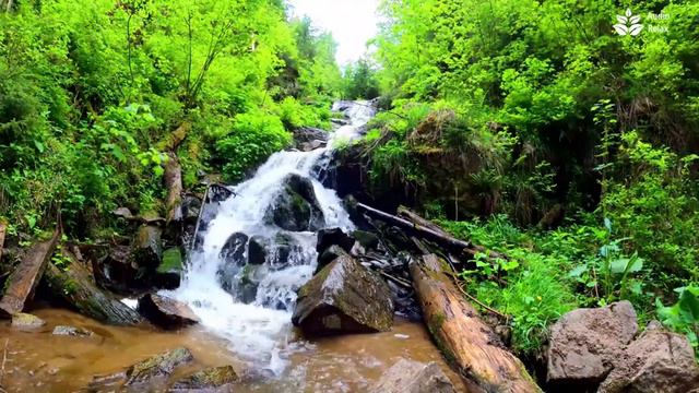 Sleep Better With Calming Forest Waterfall Sound [4k] [10 Hours]. Nature White Noise For Sleeping