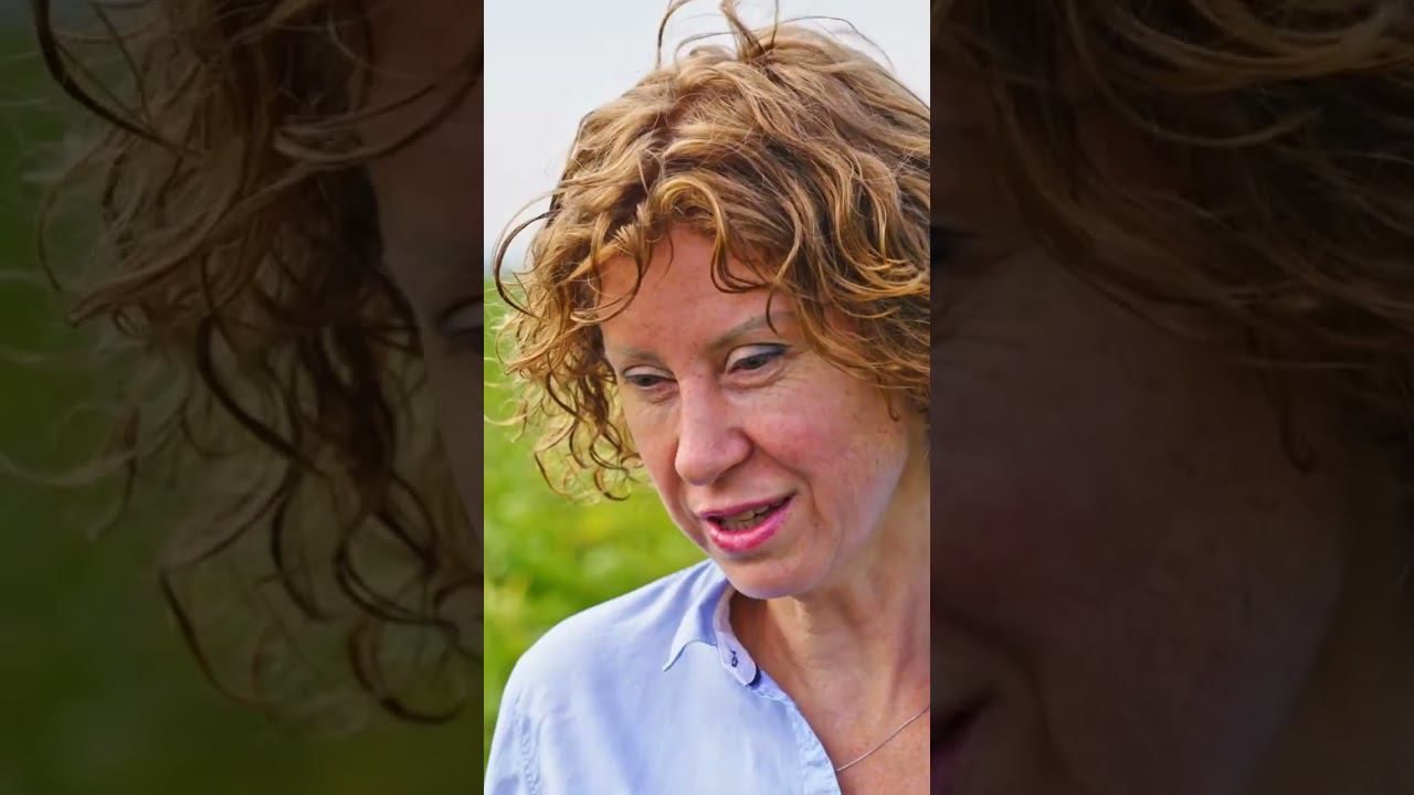 Соя от Прогрейн. Как компания работает в России? #сельскоехозяйство #растениеводство #соя смотреть онлайн