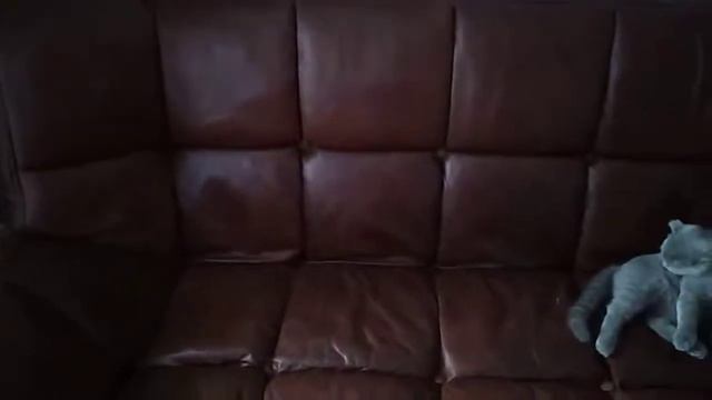 Кожаный диван клик кляк. Ты еще такой не видел:) смотреть онлайн