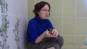 Дрозд-рябинник на лечении. Чем кормить, куда посадить, что делать если нашёл дрозда?