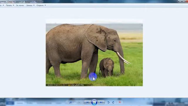 КАК ПРАВИЛЬНО СКАЗАТЬ СПАСИБО СПОНСОРУ смотреть онлайн