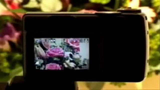 Canon Powershot A550