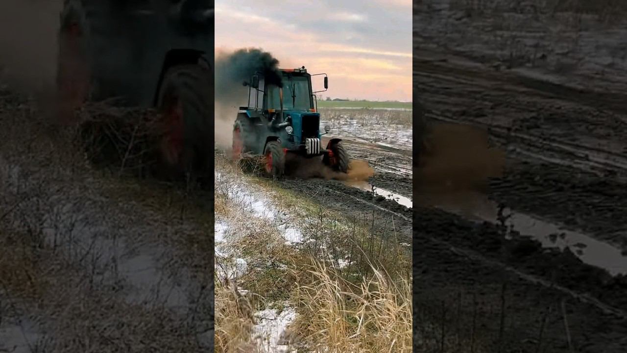 Пуля МТЗ #мтз80 #мтз #мтз1221 #грузовик #automobile смотреть онлайн