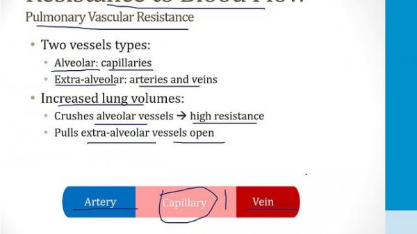 Pulmonary - 1. Embryology, Anatomy and Physiology - 5.Pulmonary Circulation atf