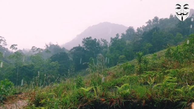 Honda AX-1 |Bick raide|sri lanka | смотреть онлайн