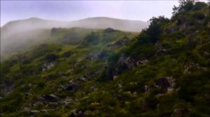 Видео проект о разнообразии родного края. Природа Дагестана.