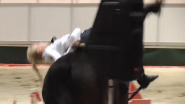 Денис TV- Международная конная выставка «ЭКВИРОС» САМЫЕ ДОРОГИЕ ЛОШАДИ МИРА! смотреть онлайн