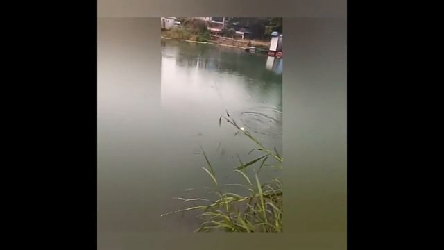 Подводная камера для подледной рыбалки GAMWATER 15M 1000TVL, ЖК-монитор 4,3 дюйма обзор смотреть онлайн