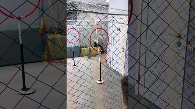 Чемпионат по робототехнике Ставрополь, 22.10.23г. Сириус 26 смотреть онлайн