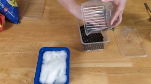 СЕЗОН 2020: Для тех кто решился! ПОЛНАЯ ИНСТРУКЦИЯ ПО ПОСАДКЕ ЛАВАНДЫ! / Садовый гид