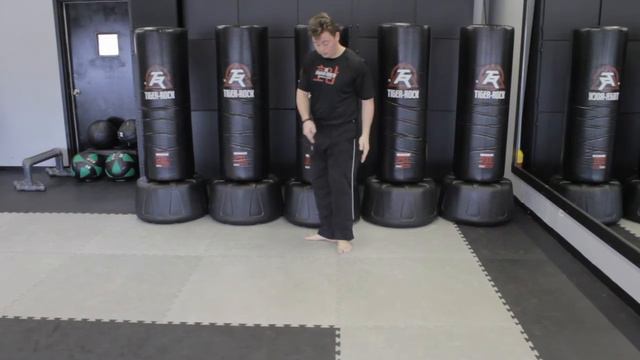 Beginner Stances for Tiger Rock смотреть онлайн