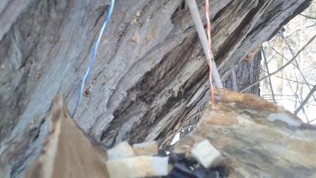 Bird Feeders.  Кормушка Какие птицы прилетают.