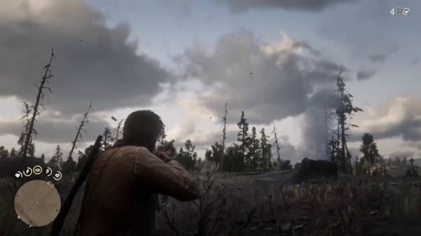 12 ЛАЙФХАКОВ ДЛЯ RDR 2 И RED DEAD ONLINE