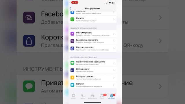 Фишки работы в Ватсап Бизнес для сетевика. Whatsapp Business, чем пригодится в сетевом бизнесе смотреть онлайн