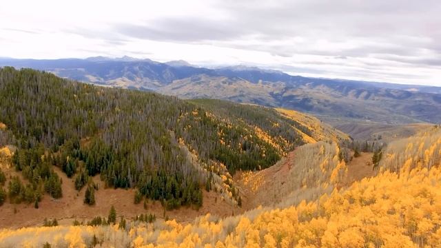 Успокаивающая музыка для нервов ? лечебная музыка для сердца и сосудов, релакс, музыка для души смотреть онлайн