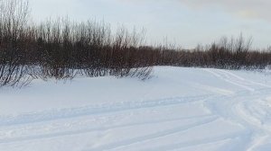 Тофалар 500. Самодельный лыжный модуль. Испытания