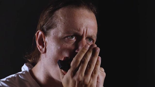 East top T003S free blues professional diatonic harmonica performance by Michal смотреть онлайн