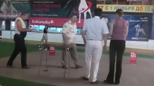 САСИБ Ростов 2.005.2012 Кванто Коста С Таганьего Рога смотреть онлайн