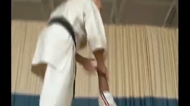 Budo Academy Nikolai Korovin, 6 dan Shorinji Ryu kote kitae, self defence смотреть онлайн