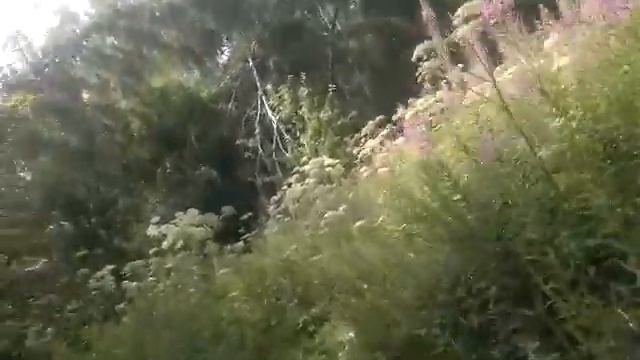 Вч 61608 июль 2012 ... смотреть онлайн