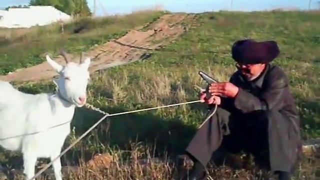 дядя Коля против Козы смотреть онлайн