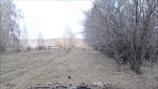 Коп на старом месте!!!