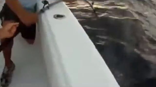 Морская Рыбалка. Одесса. Эксклюзив. [Морская Рыбалка В Одессе] смотреть онлайн