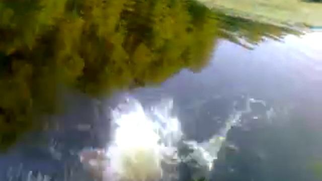 Неудачное сальто! смотреть онлайн