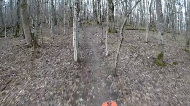 Покатушка  на 175 Fmm и 174,