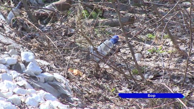 Новости "Волга 24" 20.04.2023 11:00