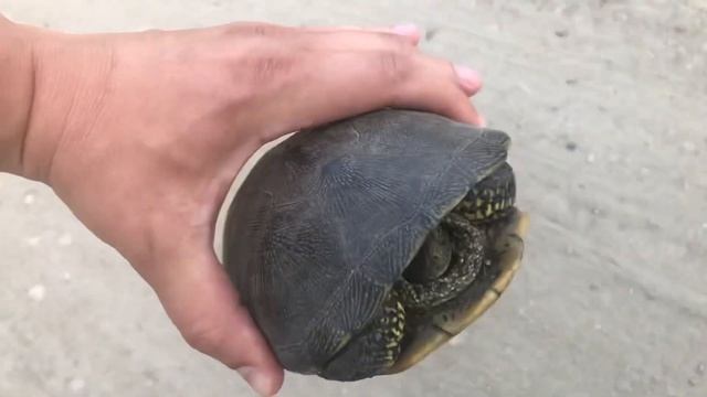 Жареная картошка|мукбанг обед с Батей Mukbang