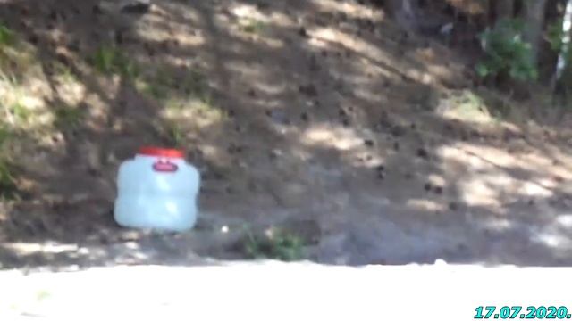 Село Дворики, родник в лесу. 17.07.2020. смотреть онлайн