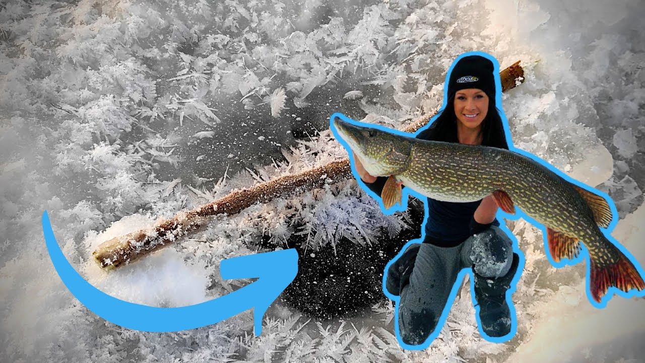 Как в деревне ЛОВЯТ ЩУК старинным способом #34 смотреть онлайн